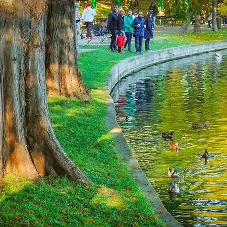 Sunset Rooftop Near Baba Novac Apartmán