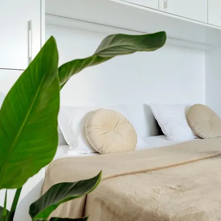 Sunset Rooftop Near Baba Novac *