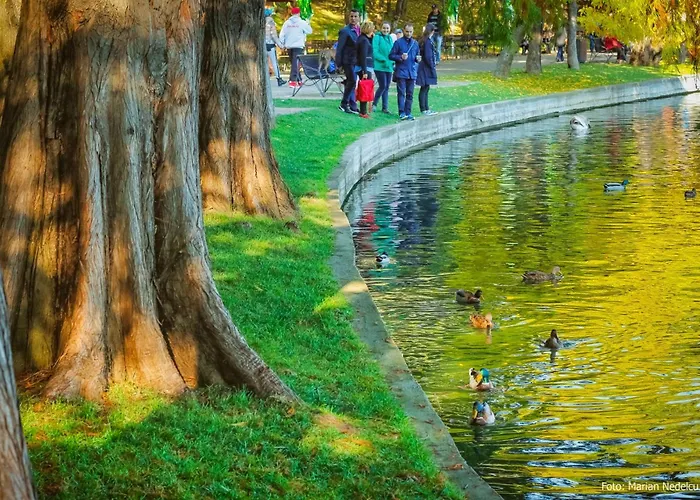 Sunset Rooftop Near Baba Novac 公寓