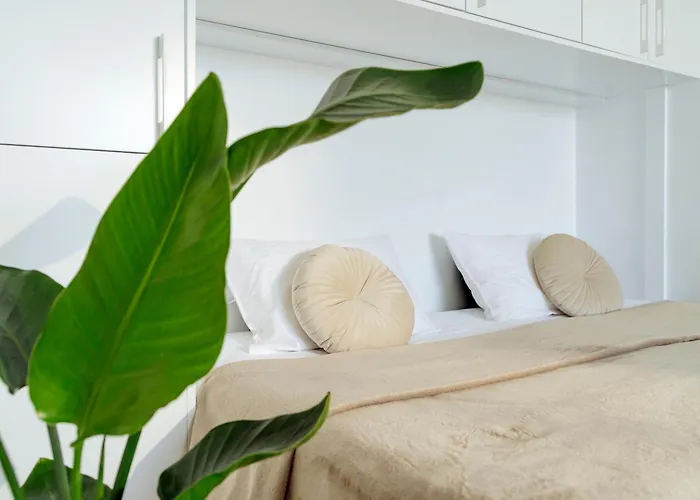 Sunset Rooftop Near Baba Novac *